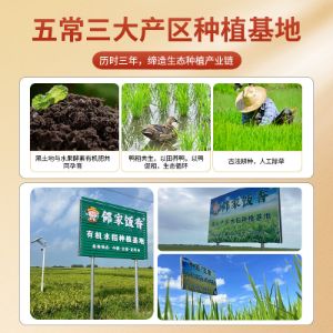 图片 邻家饭香 圣香低谷蛋白大米 5kg/袋 真空双层包装 LJFX313